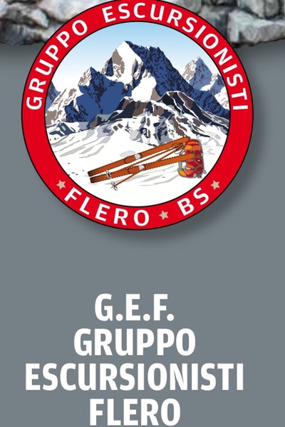 GEF Logo1