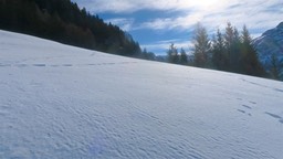 Alpe Siusi10