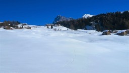Alpe Siusi19