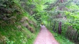 Passo Cavallino19