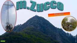Zucco01
