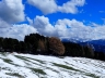 Alpe-di-Villandro127.jpg