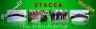 8-Stacca