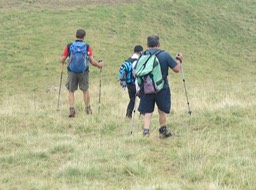 IMG 0934