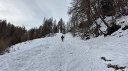 Gera08