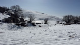 Corno Aquilio23