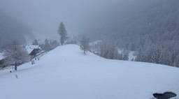 Flatscbergalm02