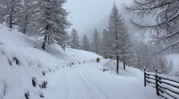Flatscbergalm38