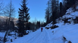 Nagelstein02