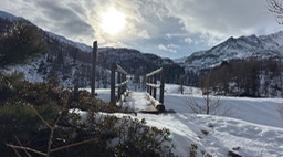 Nagelstein77