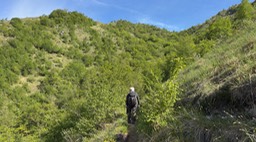 Prealba07
