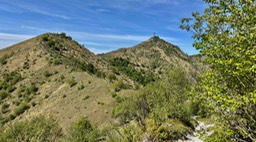 Prealba16