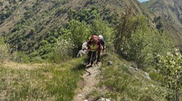 Prealba30