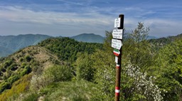 Prealba34