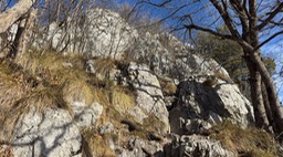 Rocca28