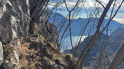 Rocca32