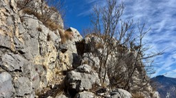 Rocca47