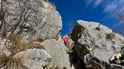 Rocca49