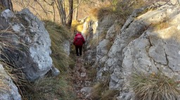 Rocca75