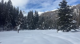 Serodoli07