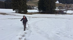 Stumpfalm03