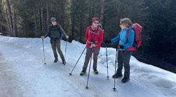 Stumpfalm26