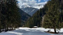 Stumpfalm42
