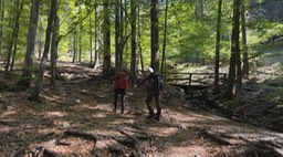 Valgoglio006